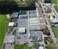 新西兰林肯大学