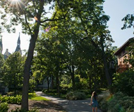 美国西北大学