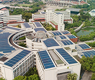 泰国国立法政大学