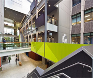 新西兰奥克兰大学