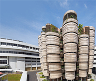 新加坡南洋理工大学