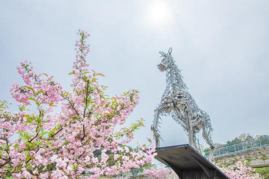 韩国京畿大学 韩国京畿大学