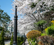 韩国汉阳大学 韩国汉阳大学