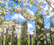 英国布里斯托大学