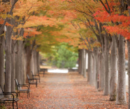 美国普林斯顿大学