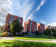 新西兰林肯大学