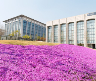 韩国延世大学