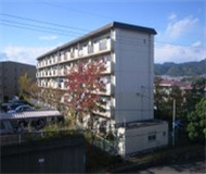 日本大阪大学 日本大阪大学