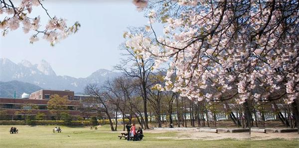 韩国德成女子大学