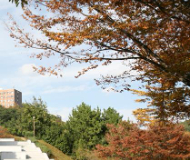 韩国国立全南大学