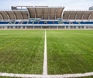 澳门科技大学 澳门科技大学