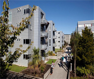 新西兰坎特伯雷大学 新西兰坎特伯雷大学