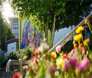 新西兰奥塔哥大学 新西兰奥塔哥大学