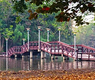 泰国艺术大学 泰国艺术大学