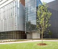 澳大利亚新南威尔士大学 澳大利亚新南威尔士大学