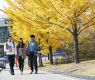 韩国科学技术院 韩国科学技术院