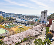 韩国东亚大学 韩国东亚大学