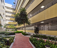 澳门理工大学 澳门理工大学