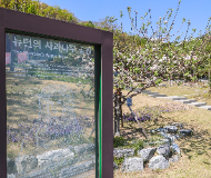 韩国东亚大学 韩国东亚大学