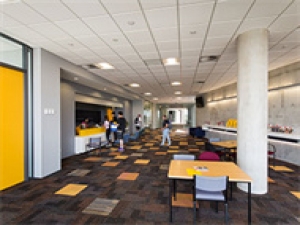 新西兰奥塔哥大学