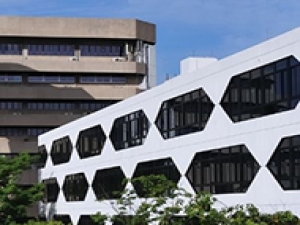 泰国国立法政大学