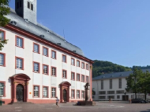 德国海德堡大学